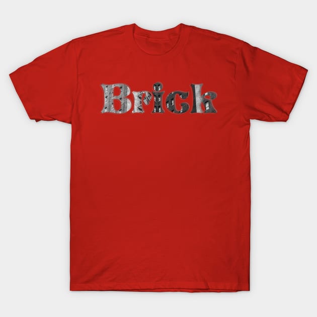 Brick T-Shirt by afternoontees